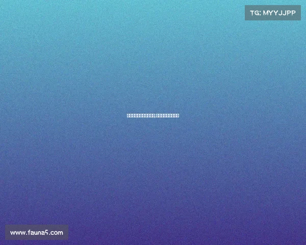 电子竞技比赛游戏解说员;电子竞技解说的概念