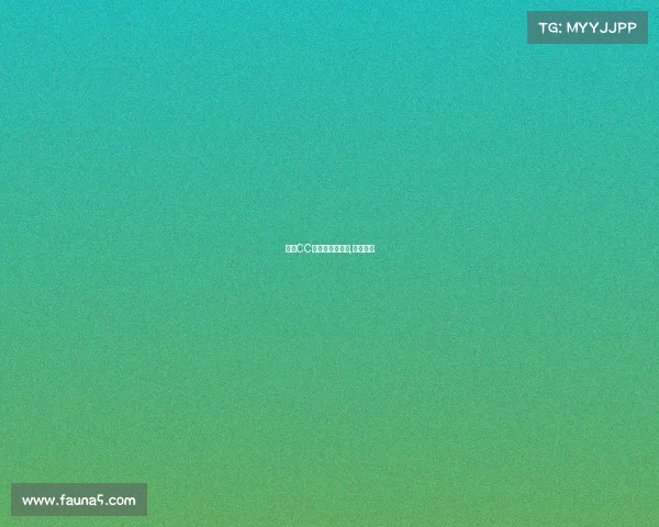 鳞龙CC电子竞技俱乐部,鳞龙公司